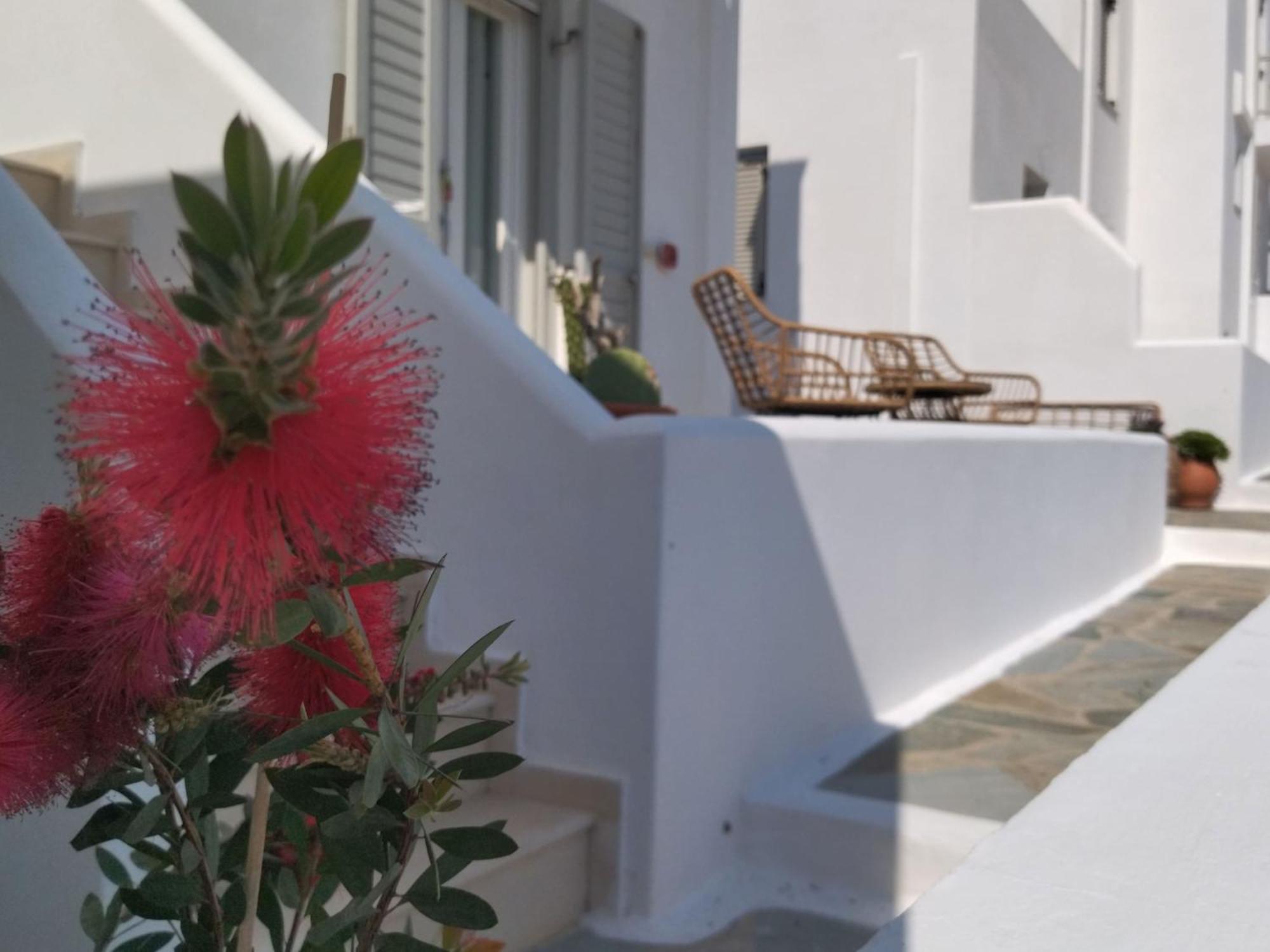 Gaia Serifos Apartments Rámos Pokoj fotografie